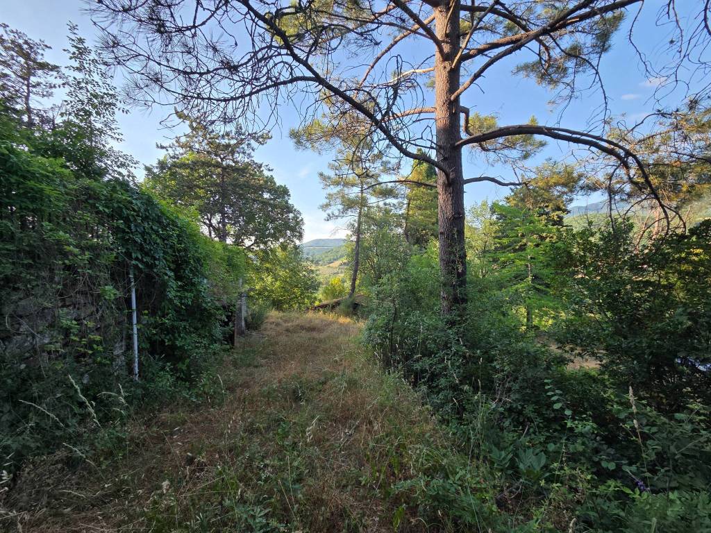 Rustico / casale a Capolona in Località Lama - Foto 5