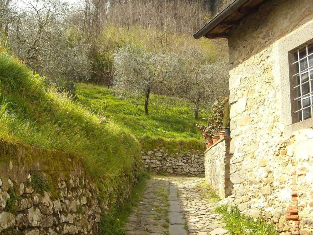 Casa indipendente a Borgo a mozzano - Foto 4
