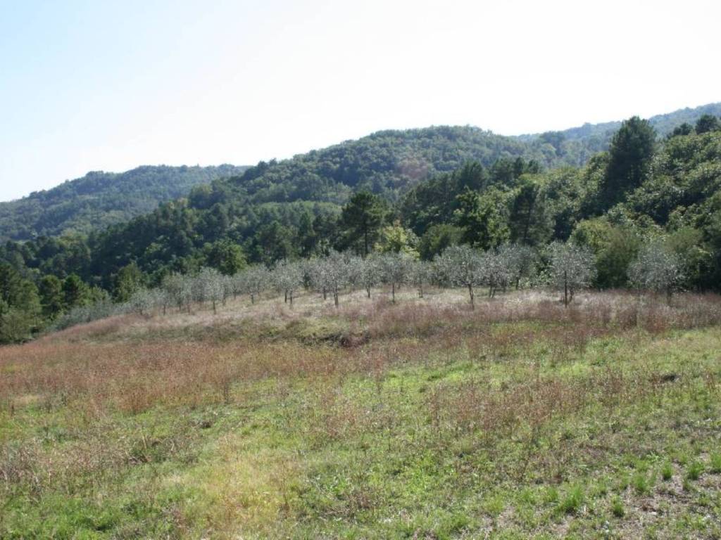 Rustico / casale a Borgo a mozzano - Foto 3