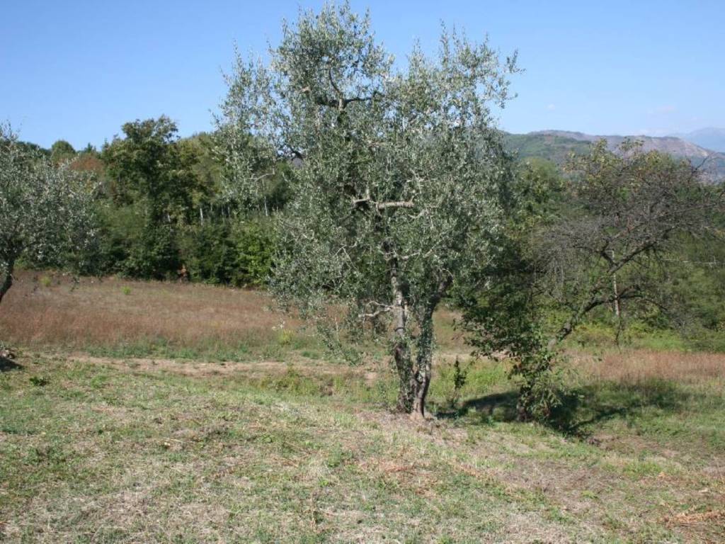 Rustico / casale a Borgo a mozzano - Foto 4