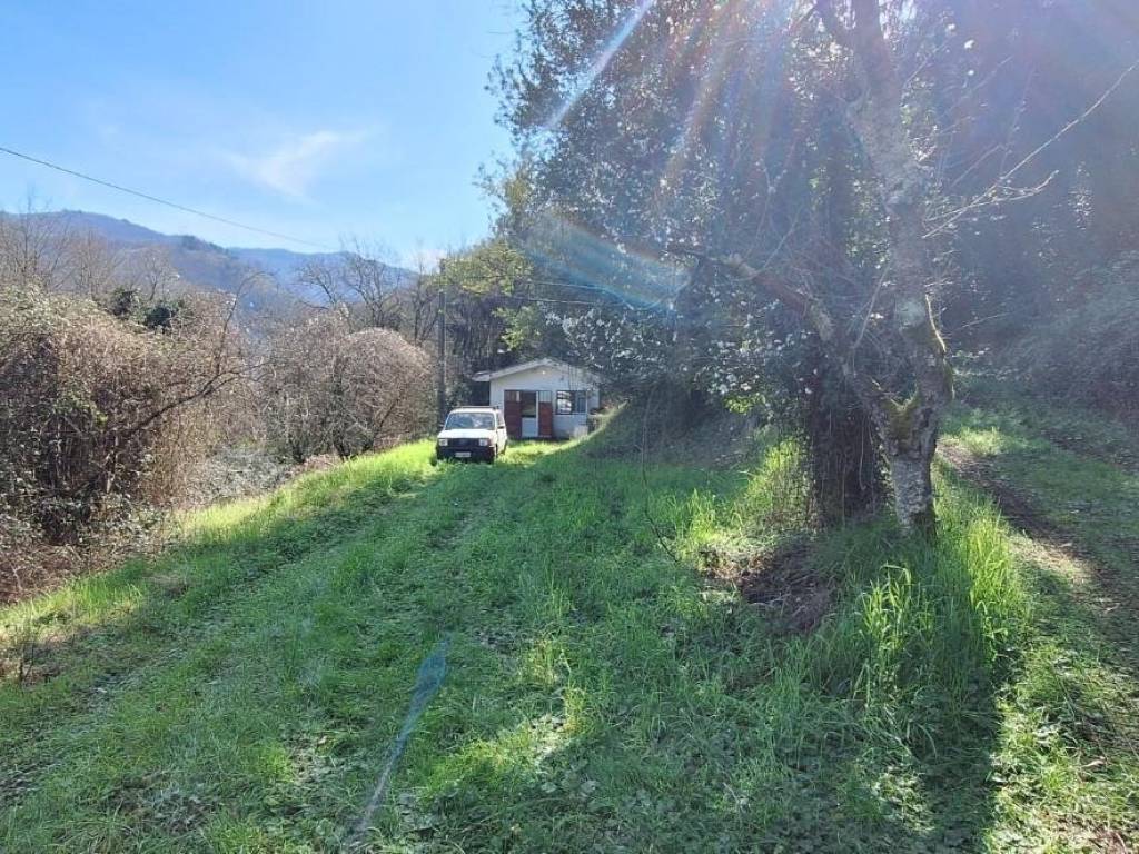 Rustico / casale a Borgo a mozzano - Foto 3