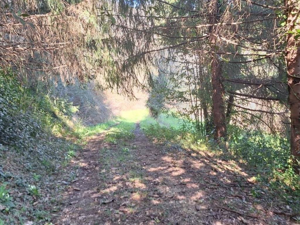 Rustico / casale a Borgo a mozzano - Foto 5