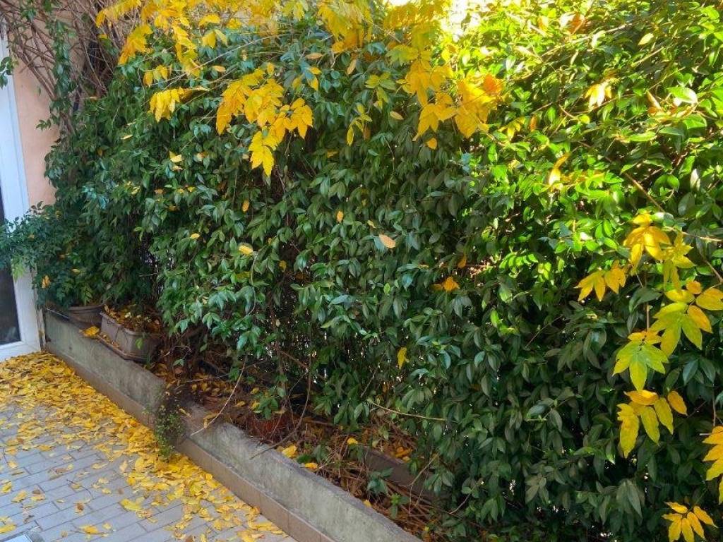 Appartamento a Bogliasco in Via Sessarego, 10 - Foto 3