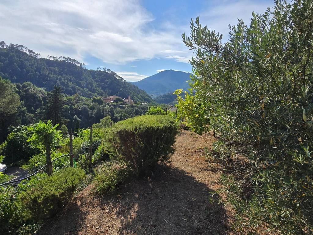 Villa a Levanto in Località Piè di Legnaro - Foto 5