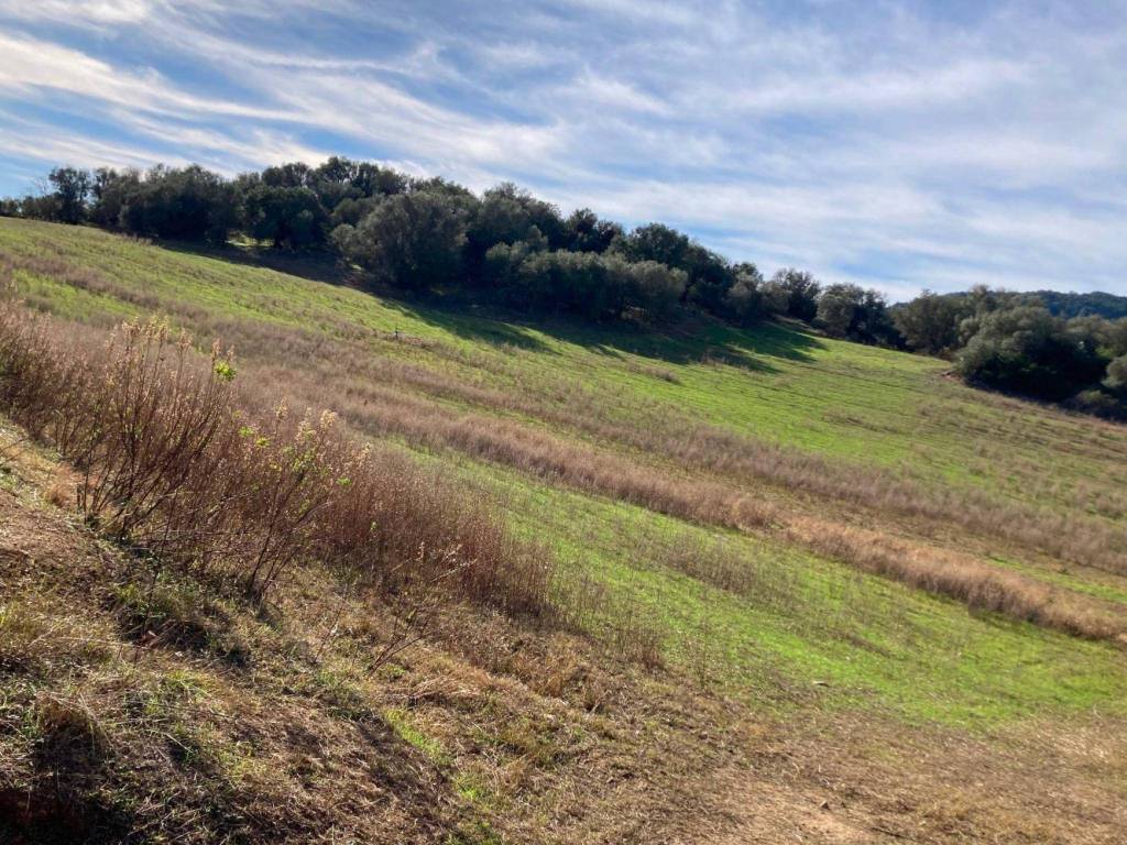 Terreno a Tortolì - Foto 3