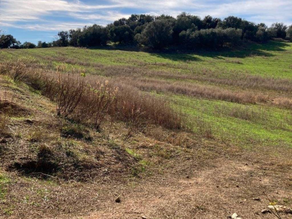 Terreno a Tortolì - Foto 4