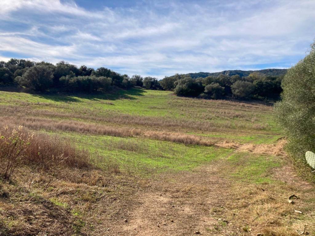 Terreno a Tortolì - Foto 5