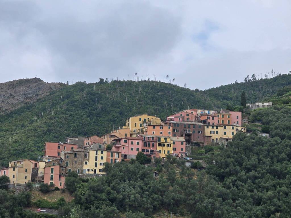 Rustico / casale a Levanto in Località Lavaggiorosso - Foto 2