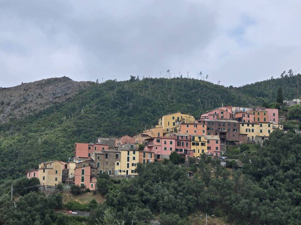 Rustico / casale a Levanto in Località Lavaggiorosso - Foto 3