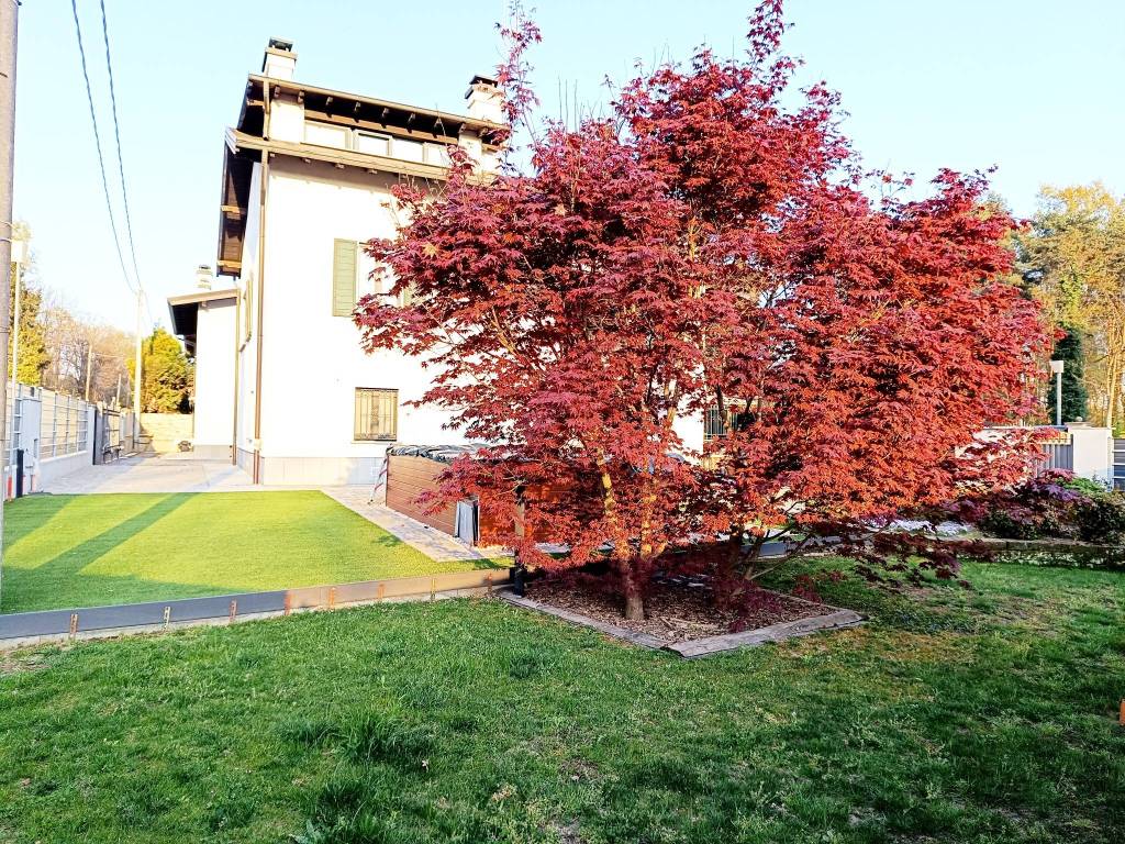 Villa a Cardano al campo in Via Gran Sasso, 2 - Foto 3