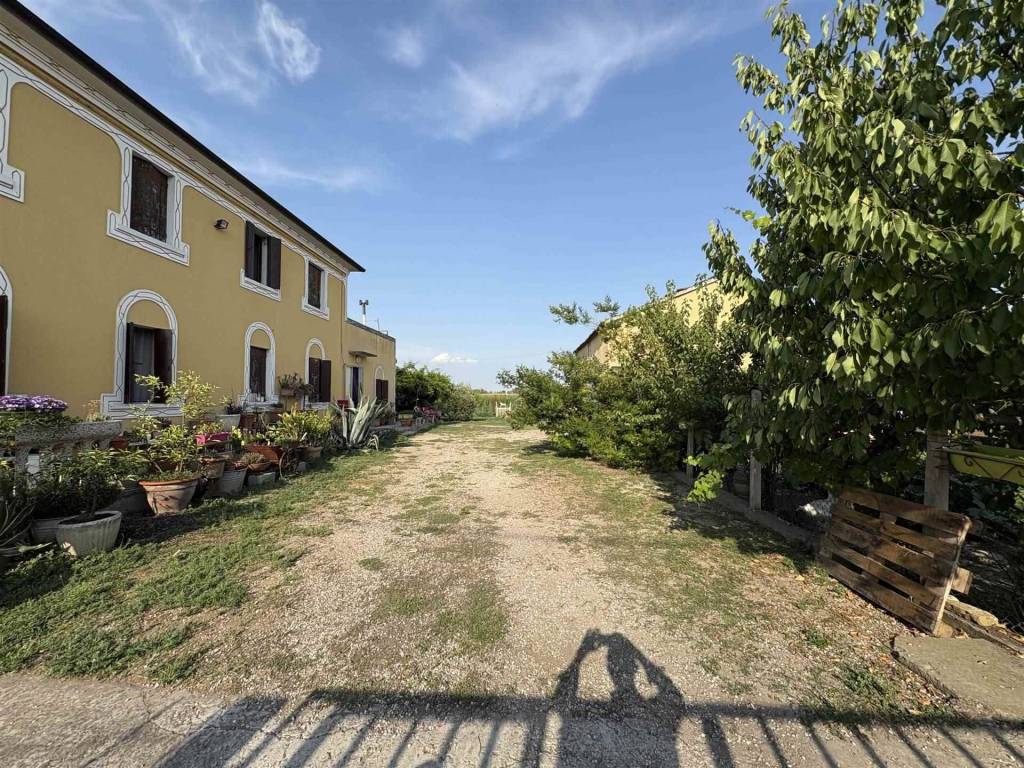 Casa indipendente a Badia polesine in Via Felice Chieregato - Foto 3