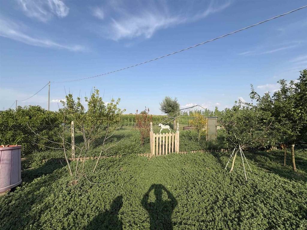 Casa indipendente a Badia polesine in Via Felice Chieregato - Foto 4