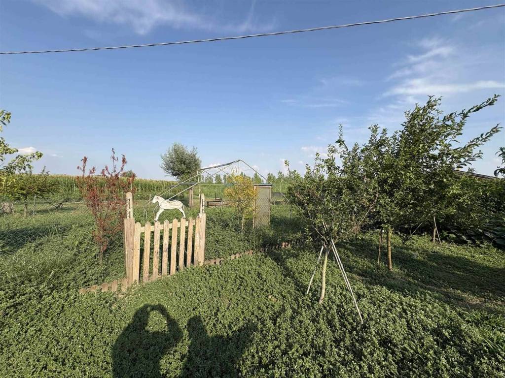 Casa indipendente a Badia polesine in Via Felice Chieregato - Foto 5
