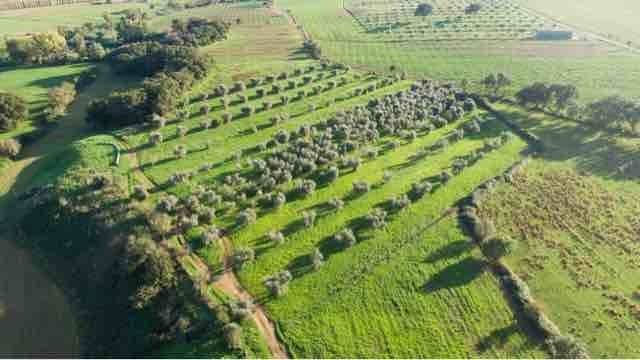 Appartamento a Roccastrada - Foto 2