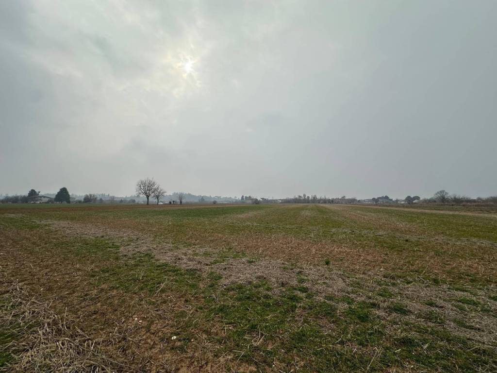 Terreno a Buttrio - Foto 2