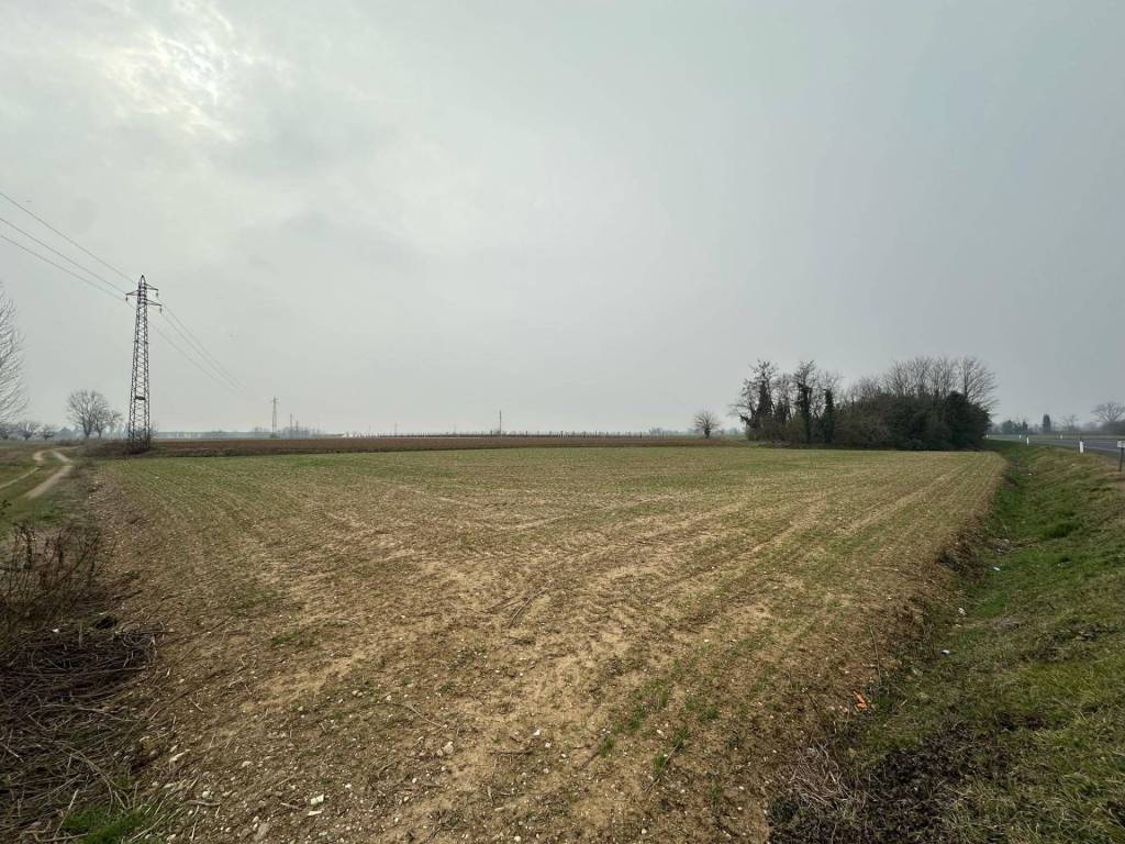 Terreno a Buttrio - Foto 3