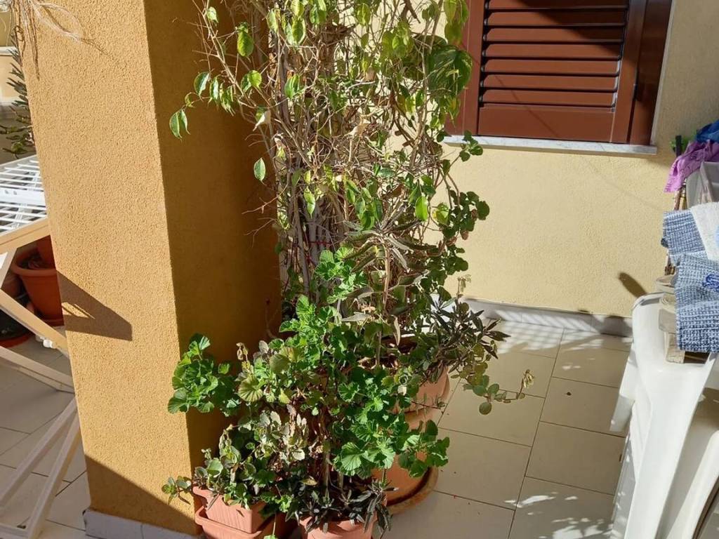 Appartamento a Melissa in Via Licausi, 2 - Foto 3