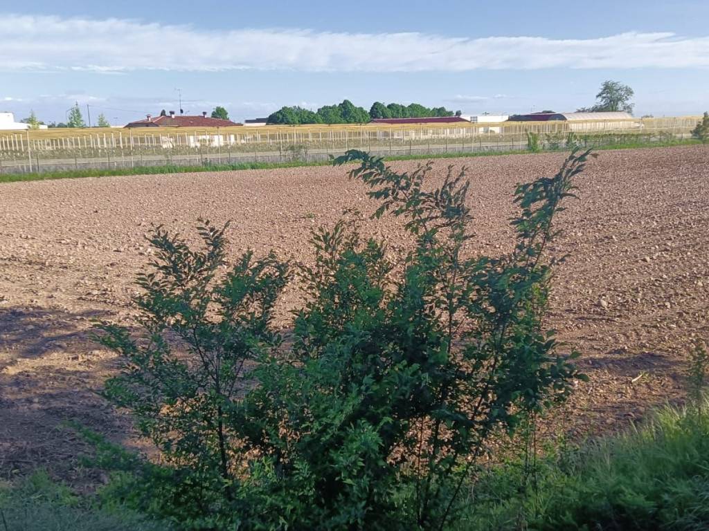 Terreno a Solferino in Via Confine di Solferino - Foto 3