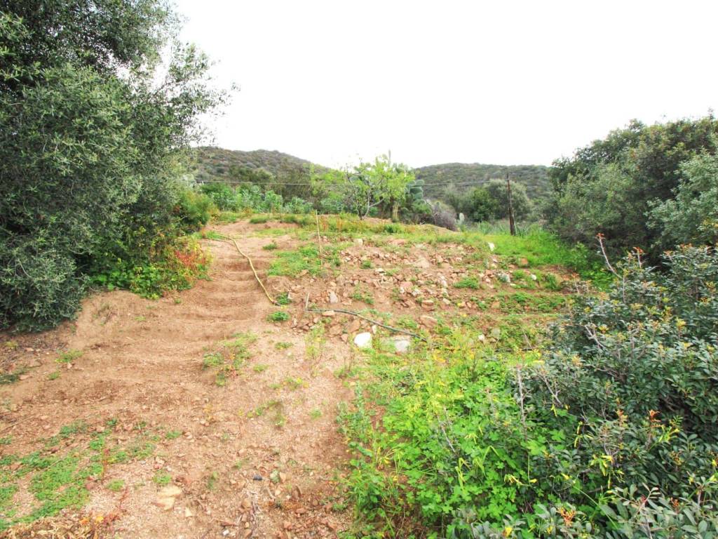 Villetta a schiera a Maracalagonis in Villaggio Dei Gigli - Foto 2