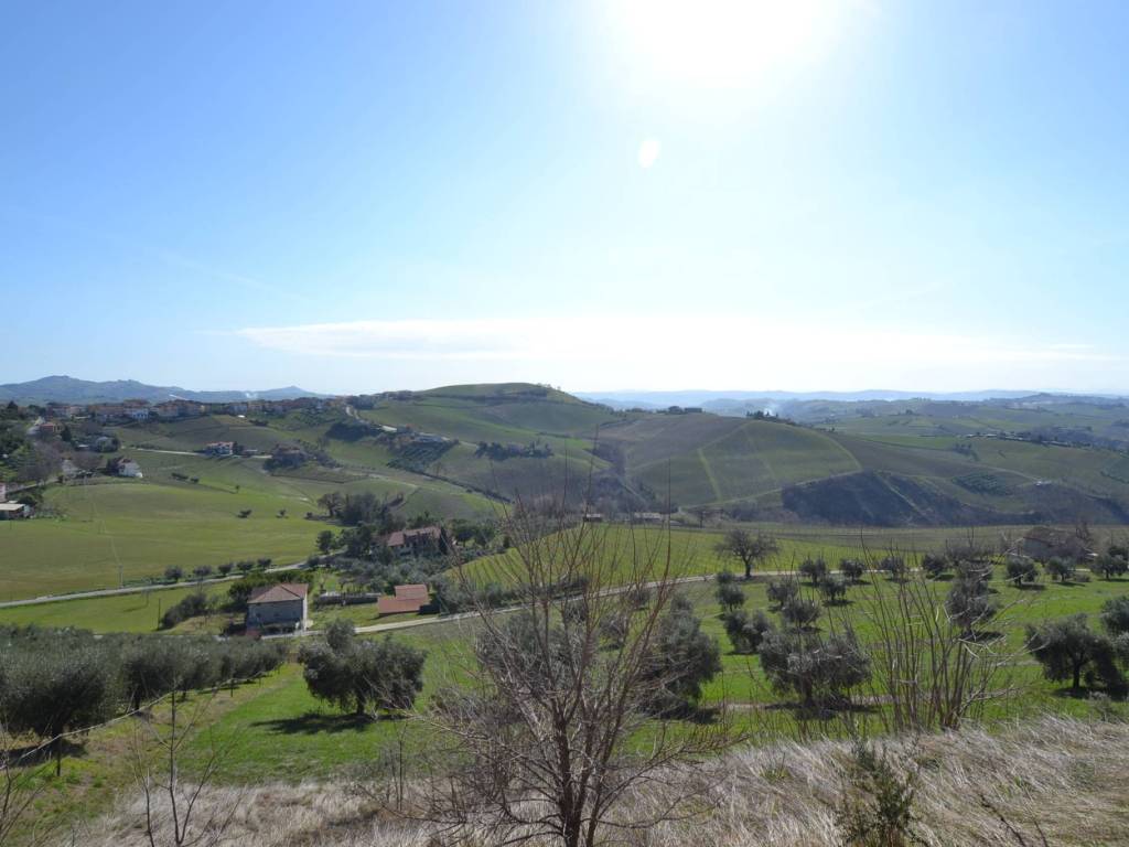 Rustico / casale a Offida in Borgo Miriam - Foto 3