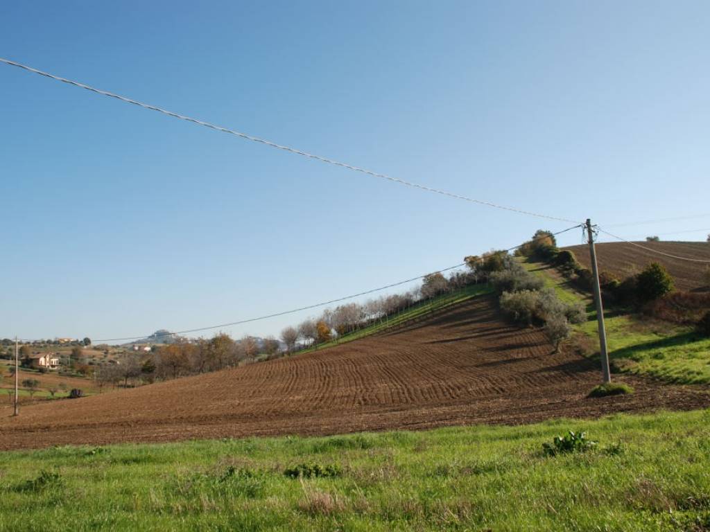 Terreno a Controguerra - Foto 2