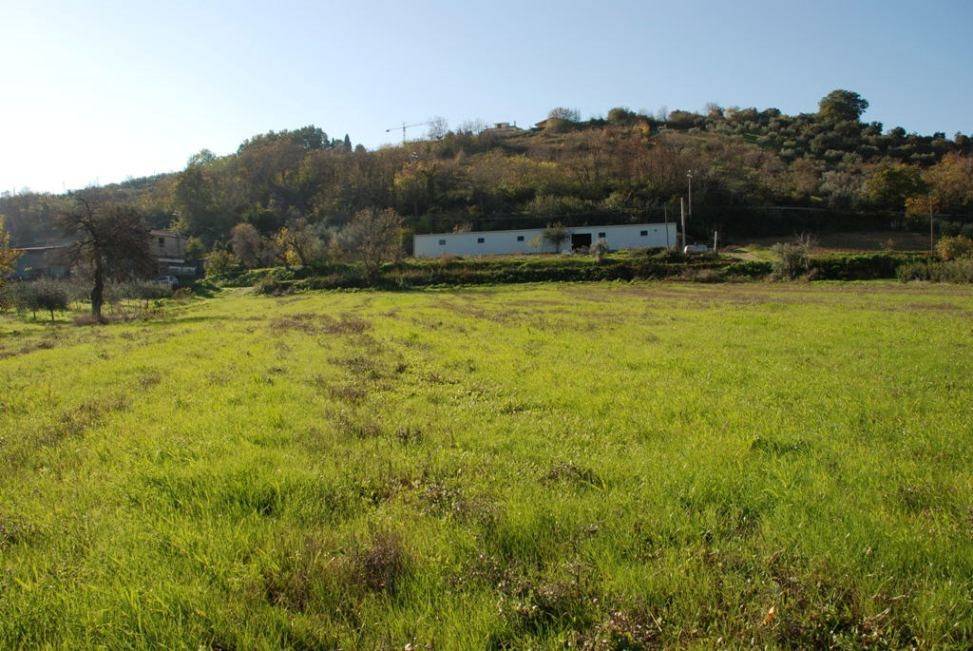 Terreno a Controguerra - Foto 4
