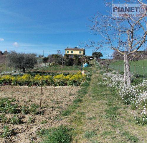 Rustico / casale a Monsampolo del tronto in Contrada Sant'Egidio - Foto 4