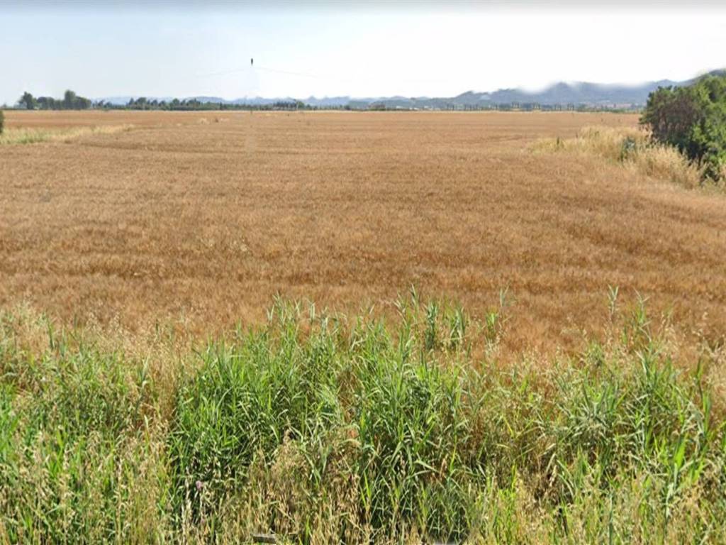 Terreno a Orbetello in ZONA LA PARRINA ZONA ALBINIA - Foto 4