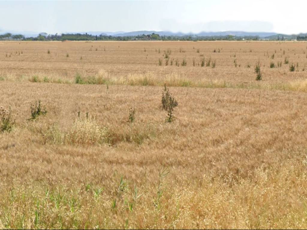 Terreno a Orbetello in ZONA LA PARRINA ZONA ALBINIA - Foto 5