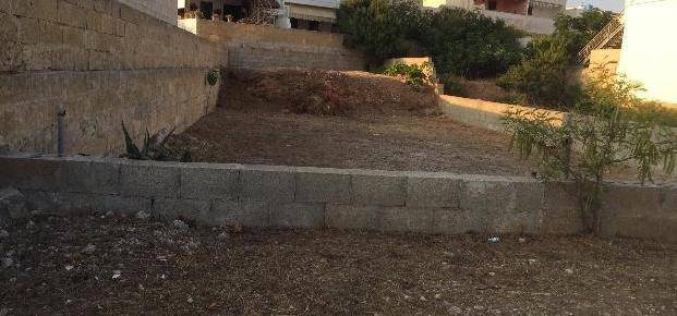 Terreno a Castrignano del capo in Strada Provinciale214, 25 - Foto 3