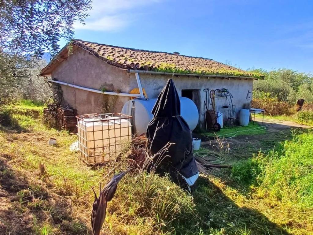 Rustico / casale a Paliano in Contrada Martinaccio - Foto 1