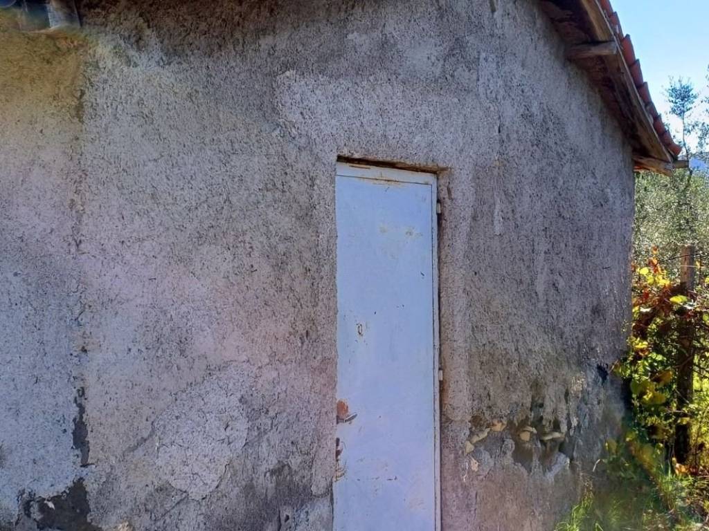 Rustico / casale a Paliano in Contrada Martinaccio - Foto 2