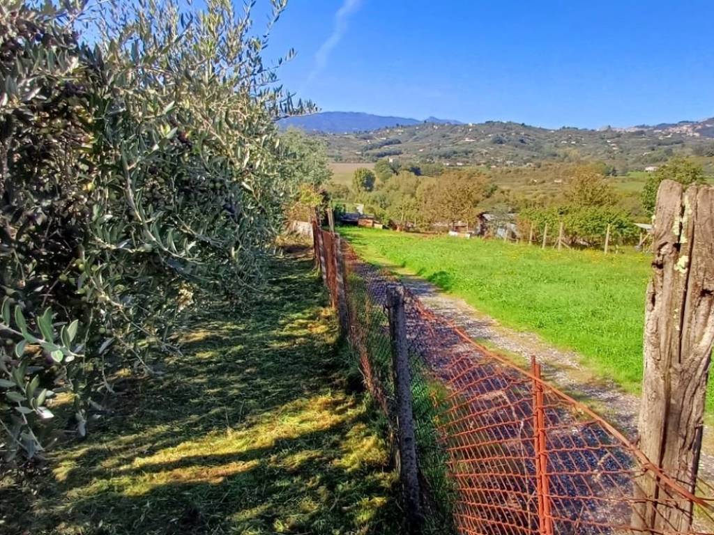 Rustico / casale a Paliano in Contrada Martinaccio - Foto 3
