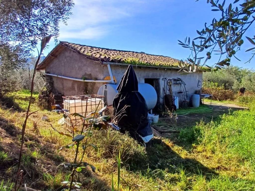 Rustico / casale a Paliano in Contrada Martinaccio - Foto 4
