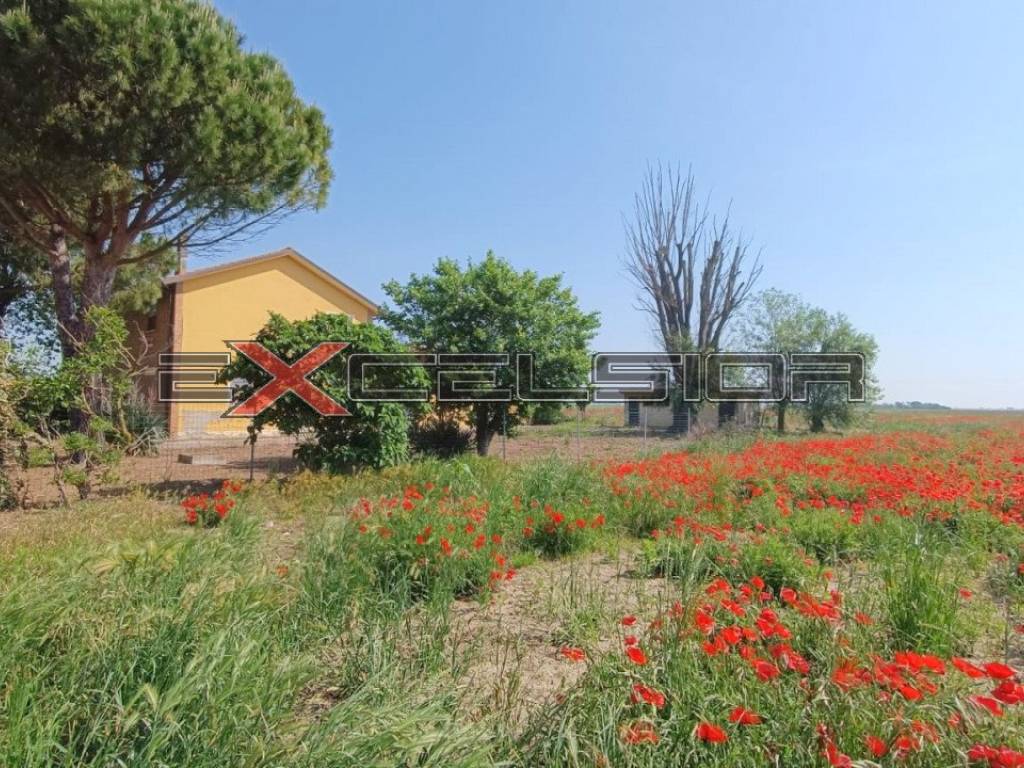 Casa indipendente a Taglio di po in c.so Risorgimento 160 Porto Viro (RO) - Foto 2