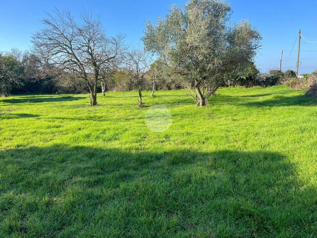 Terreno a Anzio in Via dellᴵ Albicocco - Foto 3