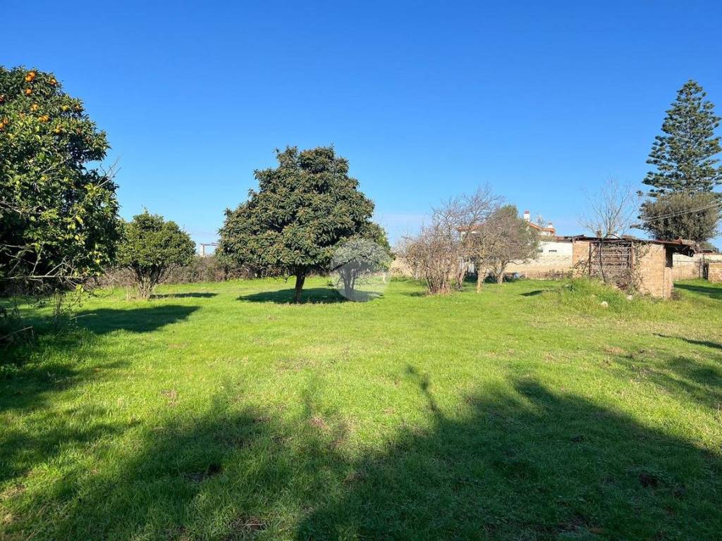 Terreno a Anzio in Via dellᴵ Albicocco - Foto 4