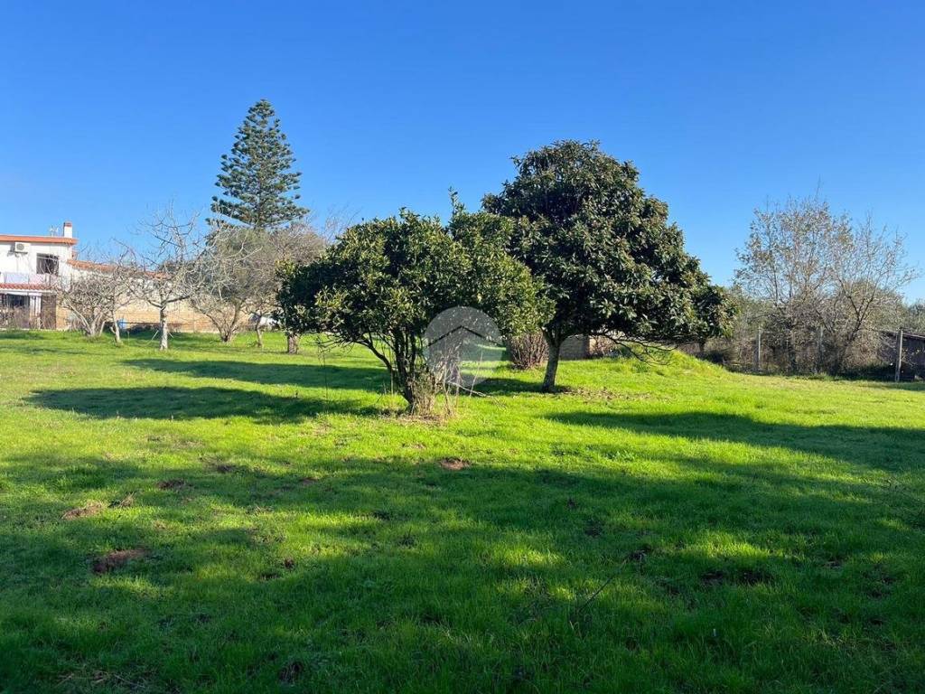 Terreno a Anzio in Via dellᴵ Albicocco - Foto 5