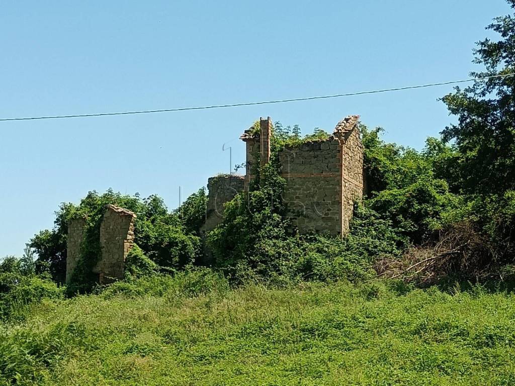 Rustico / casale a Umbertide in Località Rasina, 314/A - Foto 2