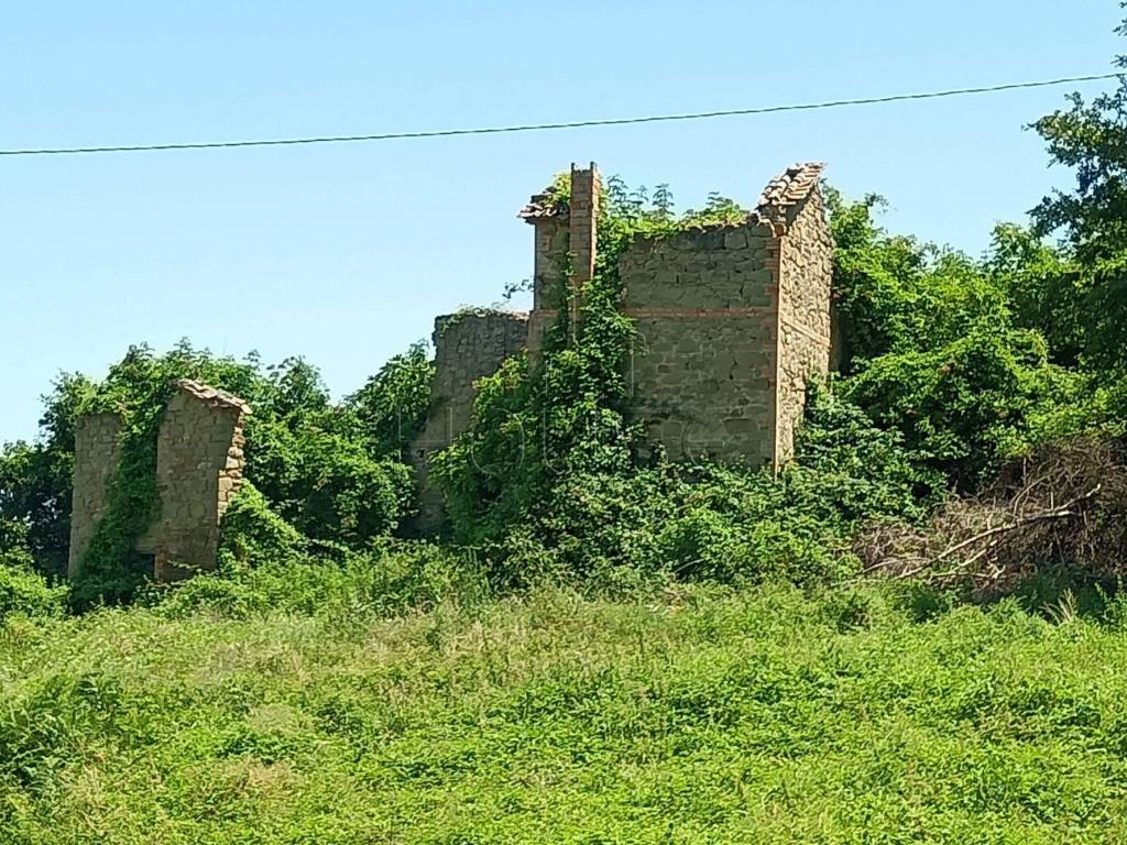 Rustico / casale a Umbertide in Località Rasina, 314/A - Foto 4