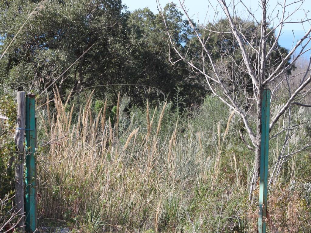 Terreno a Scalea in Unnamed Road - Foto 2