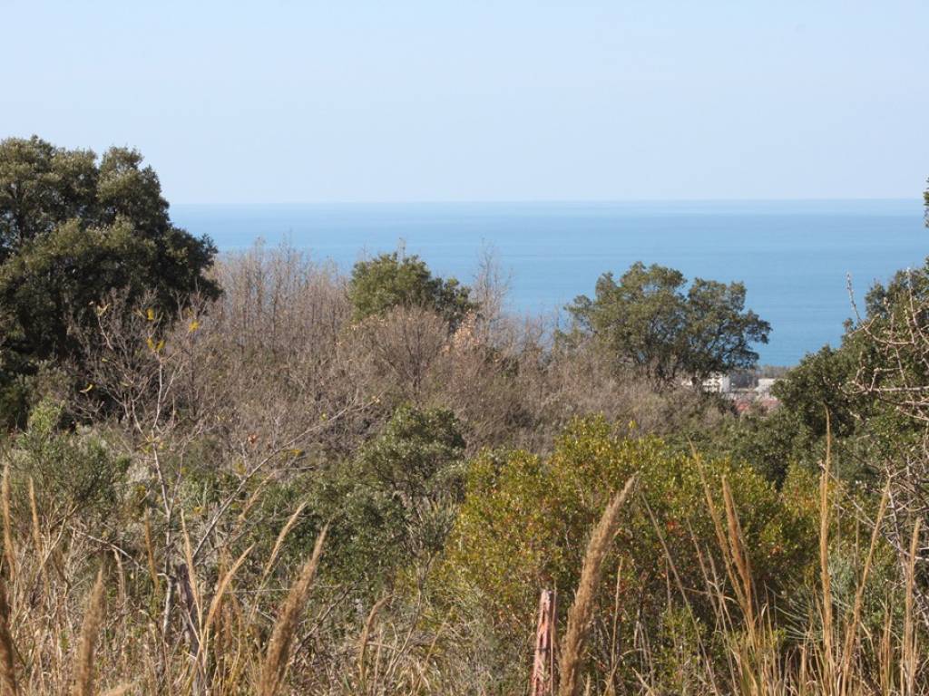 Terreno a Scalea in Unnamed Road - Foto 4