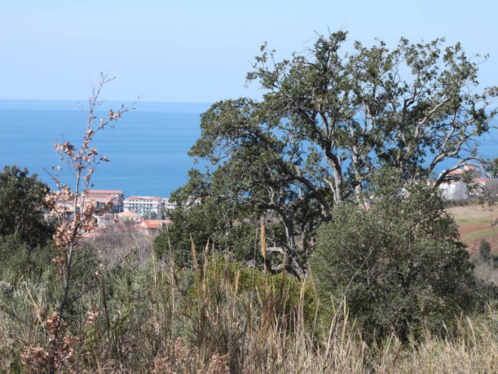 Terreno a Scalea in Unnamed Road - Foto 5