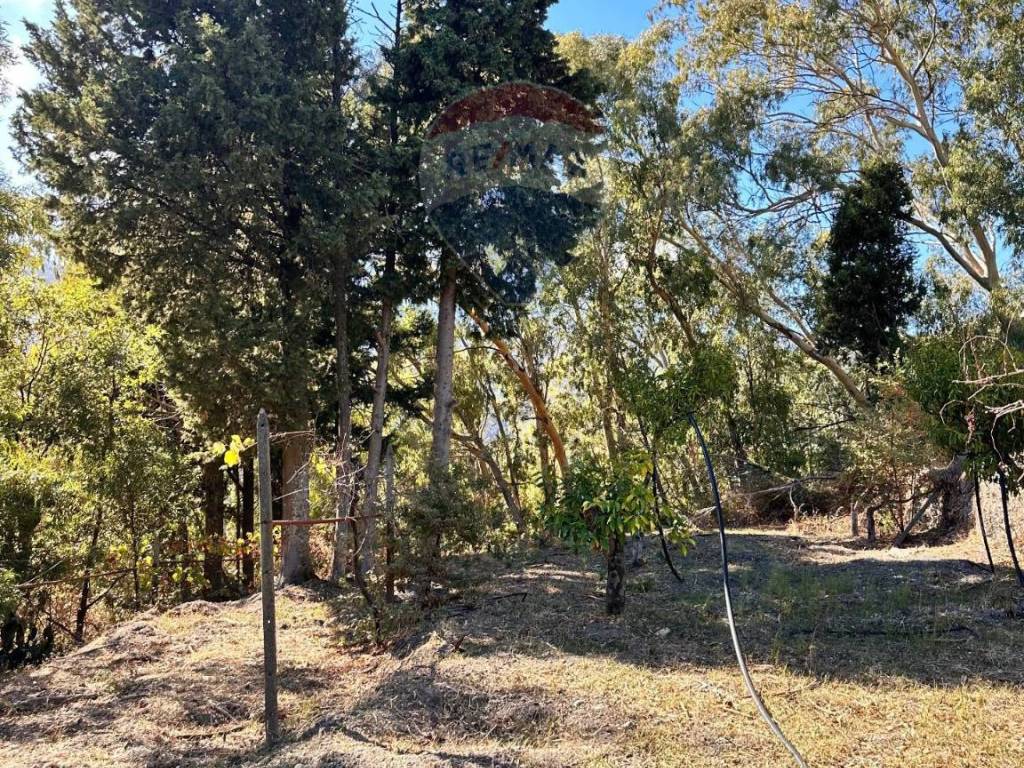 Terreno a Casalvecchio siculo in vico I mitta - Foto 5