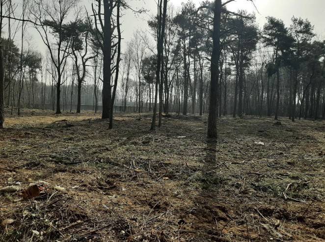Terreno a Cardano al campo in Via per Casorate - Foto 2