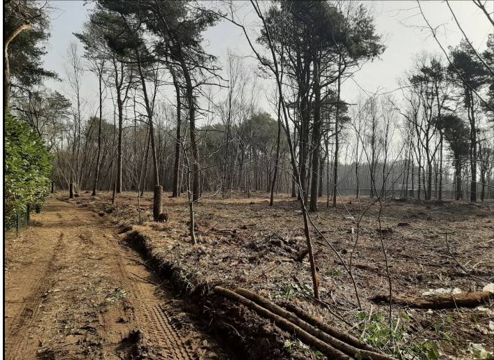 Terreno a Cardano al campo in Via per Casorate - Foto 3