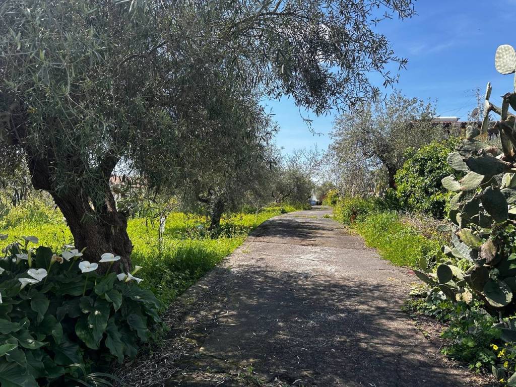 Terreno a Aci sant'antonio in Via Lanza - Foto 4
