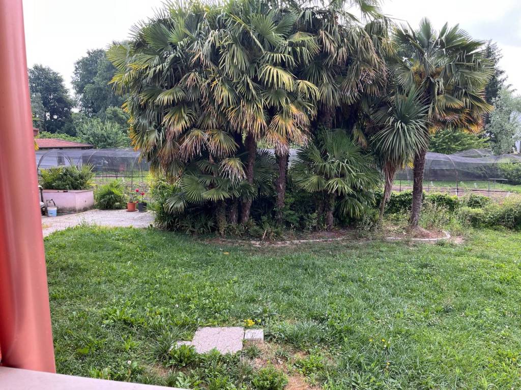 Villa a Trebaseleghe in Via Roma - Foto 3