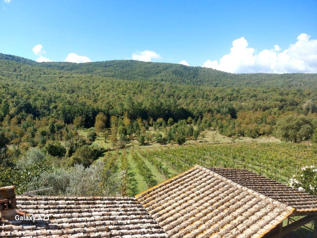 Rustico / casale a Bucine - Foto 2