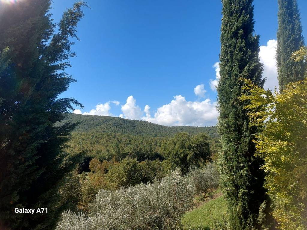 Rustico / casale a Bucine - Foto 5